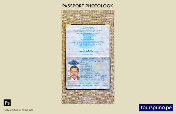 Plantilla de aspecto previo a la foto del pasaporte de EE. UU. listo para imprim